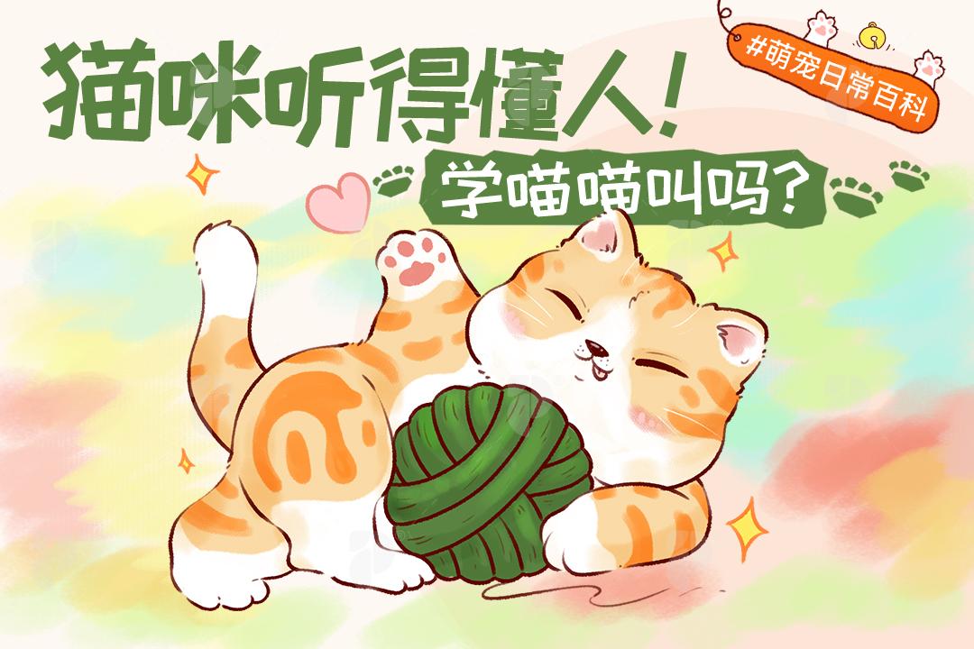 猫咪听得懂人学喵喵叫吗？
