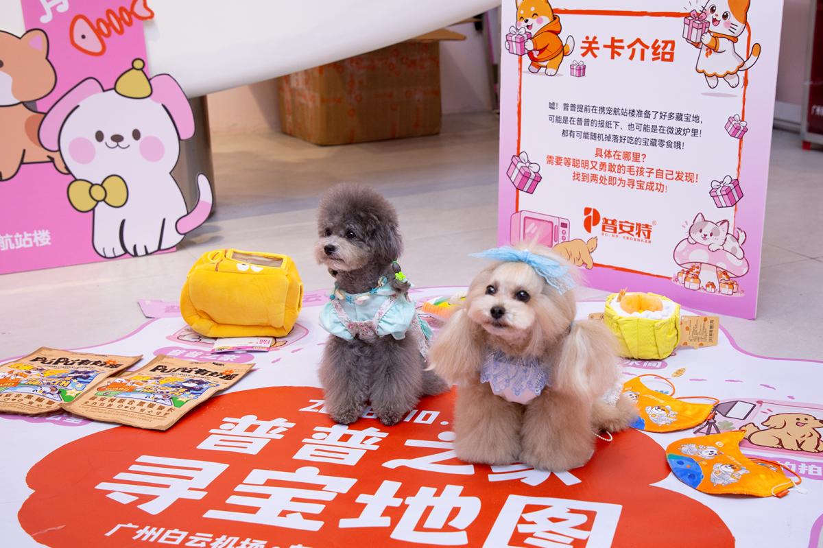 普安特×白云携宠线下活动