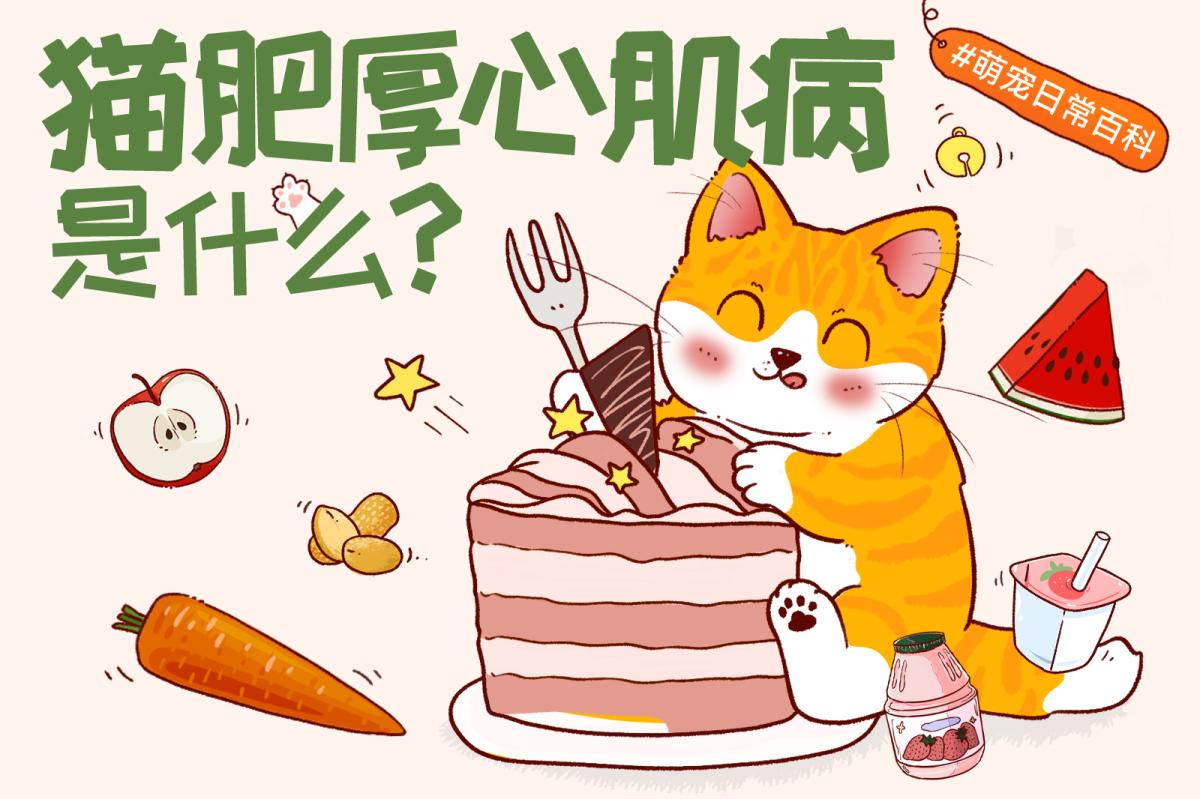 猫肥厚性心肌病（HCM）是什么？症状、遗传风险与检查治疗