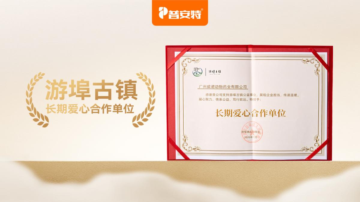 不止于一次领养：普安特在游埠古镇的公益落笔，写的是“长期守护”