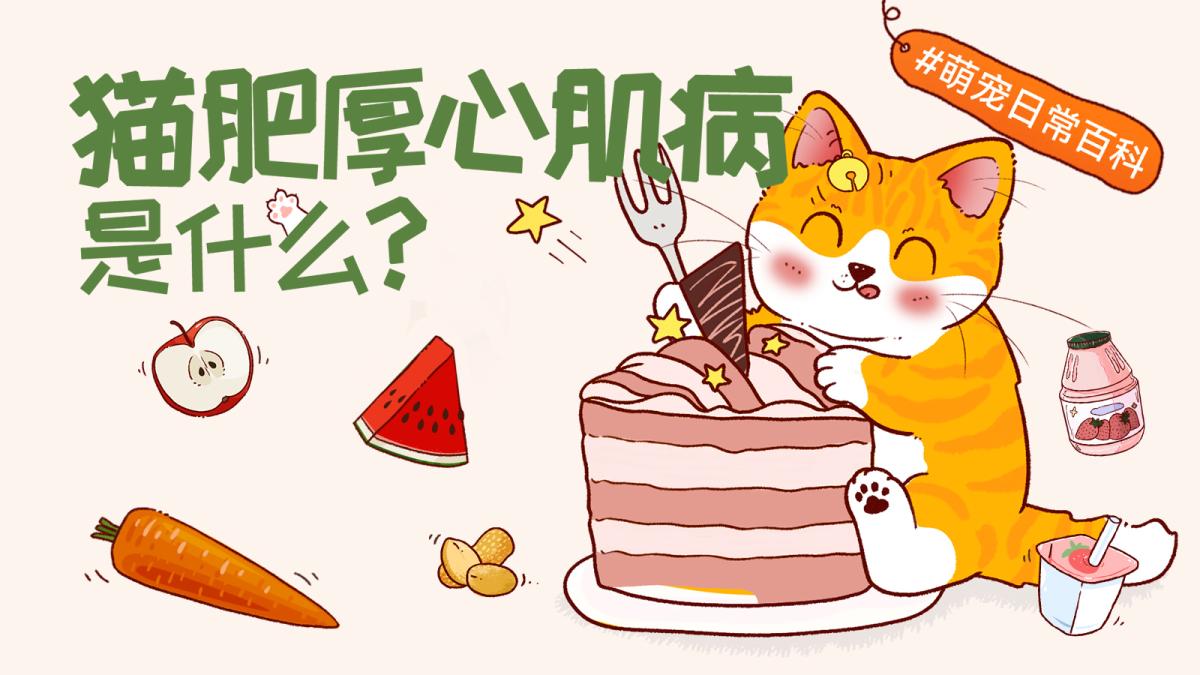 猫肥厚性心肌病（HCM）是什么？症状、遗传风险与检查治疗