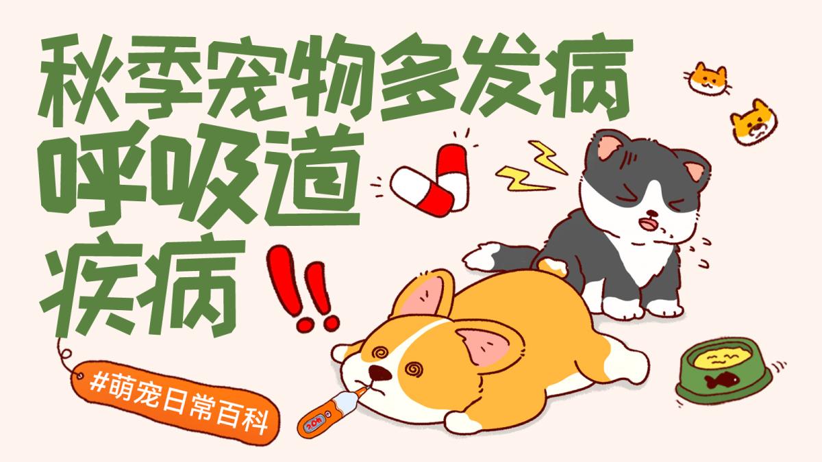 犬猫换季呼吸道疾病怎么判断？症状与护理指南