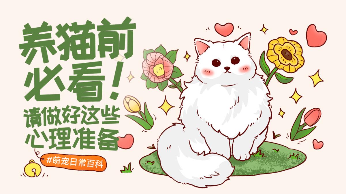 新手养猫前要做好哪些心理准备？从猫咪性格到日常照护一次了解