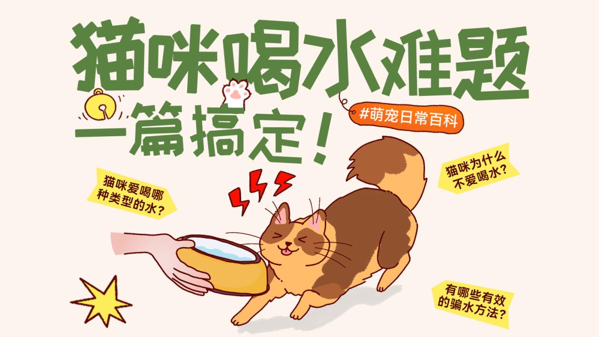 猫咪不爱喝水怎么办？5个实用方法帮猫咪多喝水