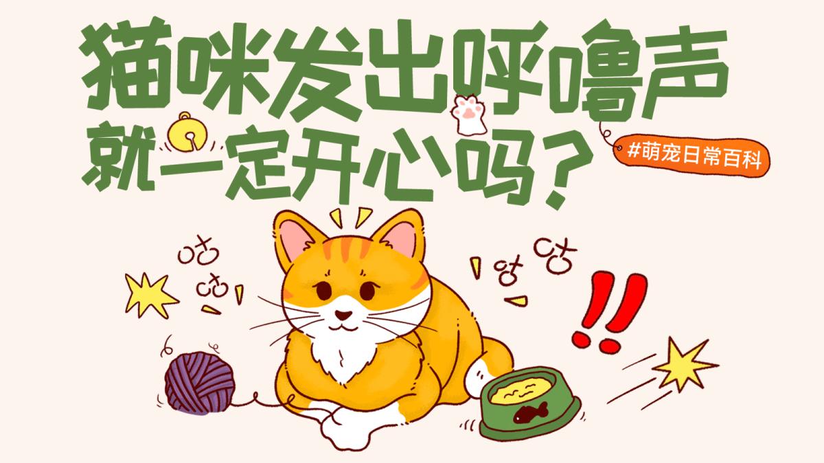 猫咪发出呼噜声，就一定代表开心吗？