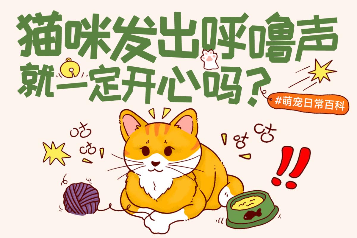 猫咪发出呼噜声，就一定代表开心吗？