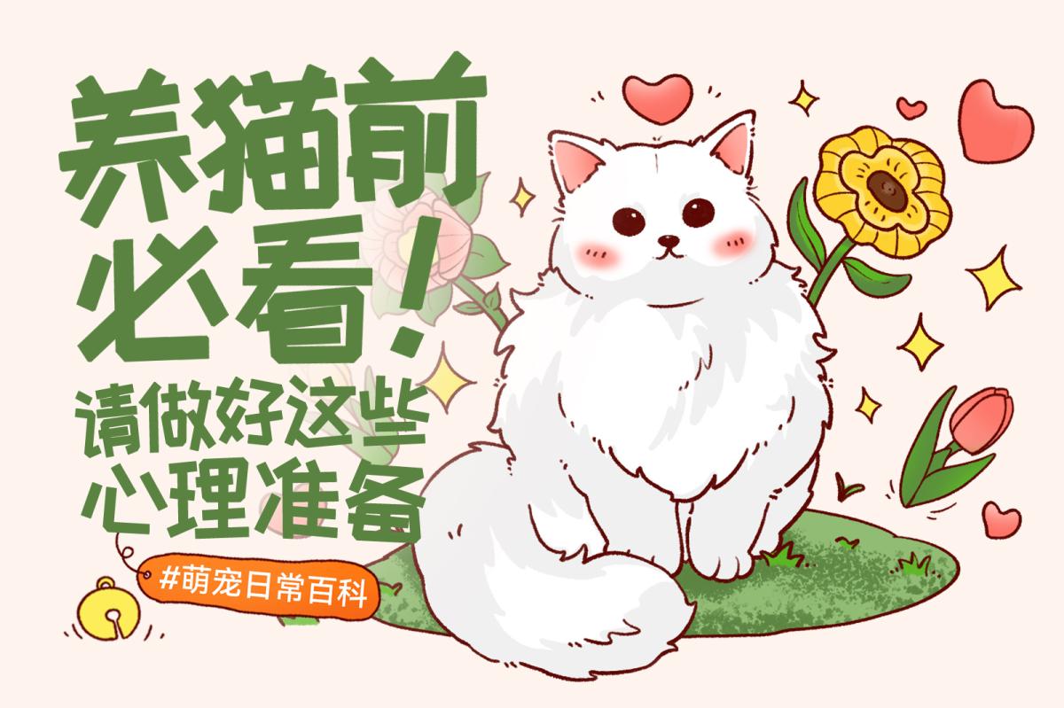 新手养猫前要做好哪些心理准备？从猫咪性格到日常照护一次了解