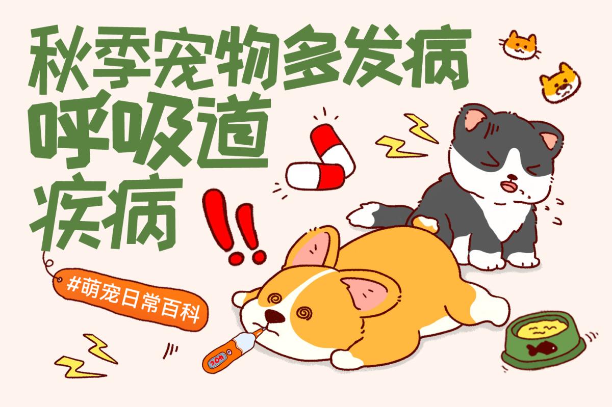 犬猫换季呼吸道疾病怎么判断？症状与护理指南