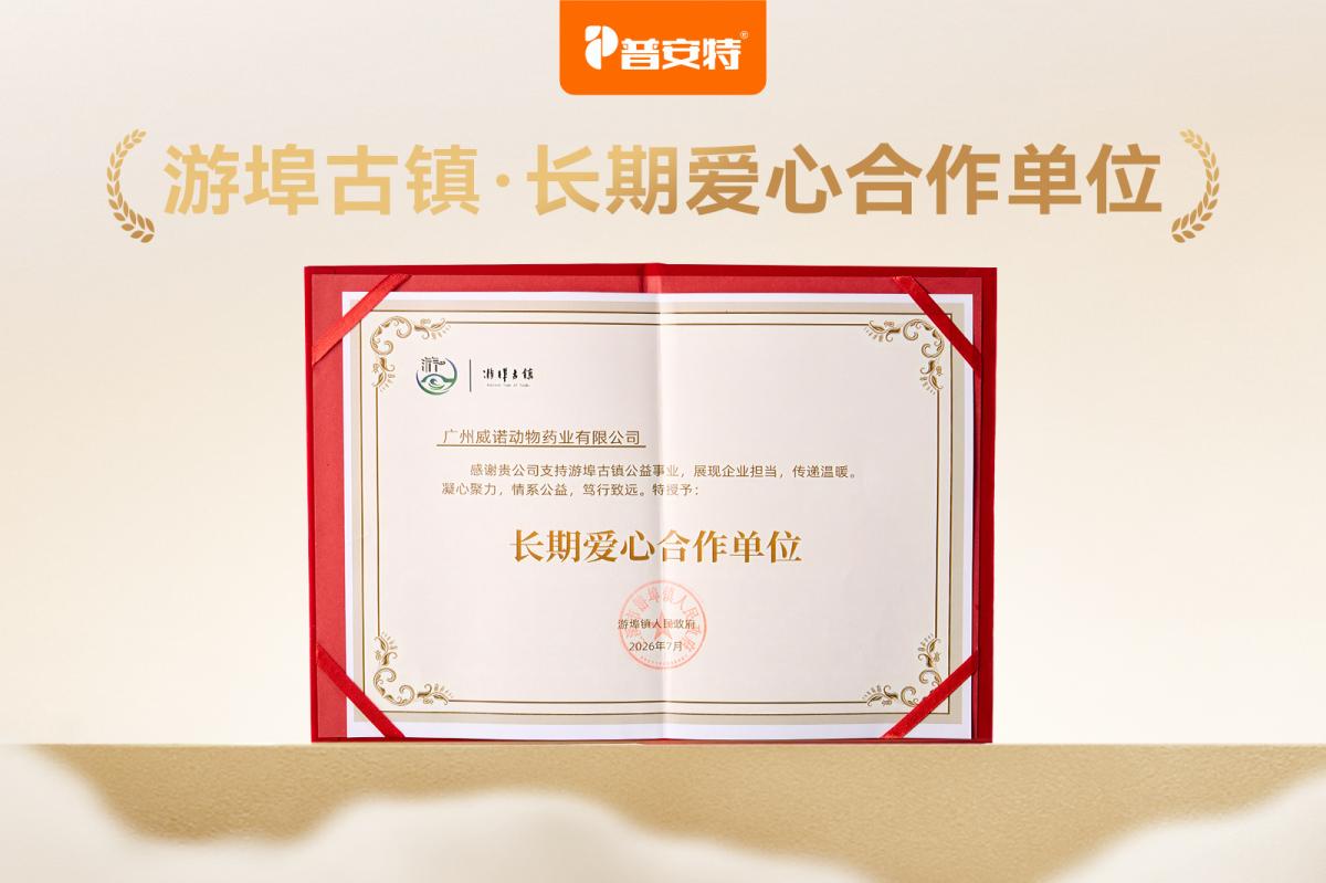 不止于一次领养：普安特在游埠古镇的公益落笔，写的是“长期守护”