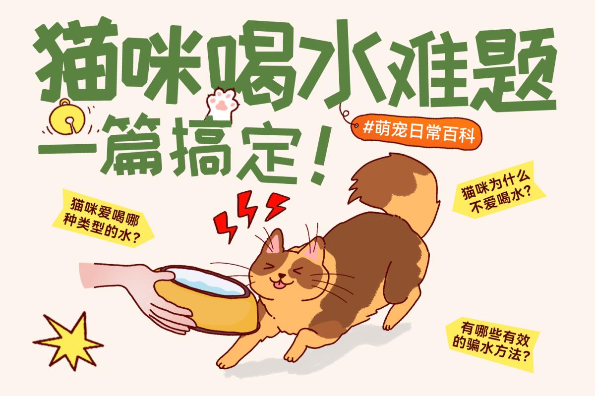 猫咪不爱喝水怎么办？5个实用方法帮猫咪多喝水