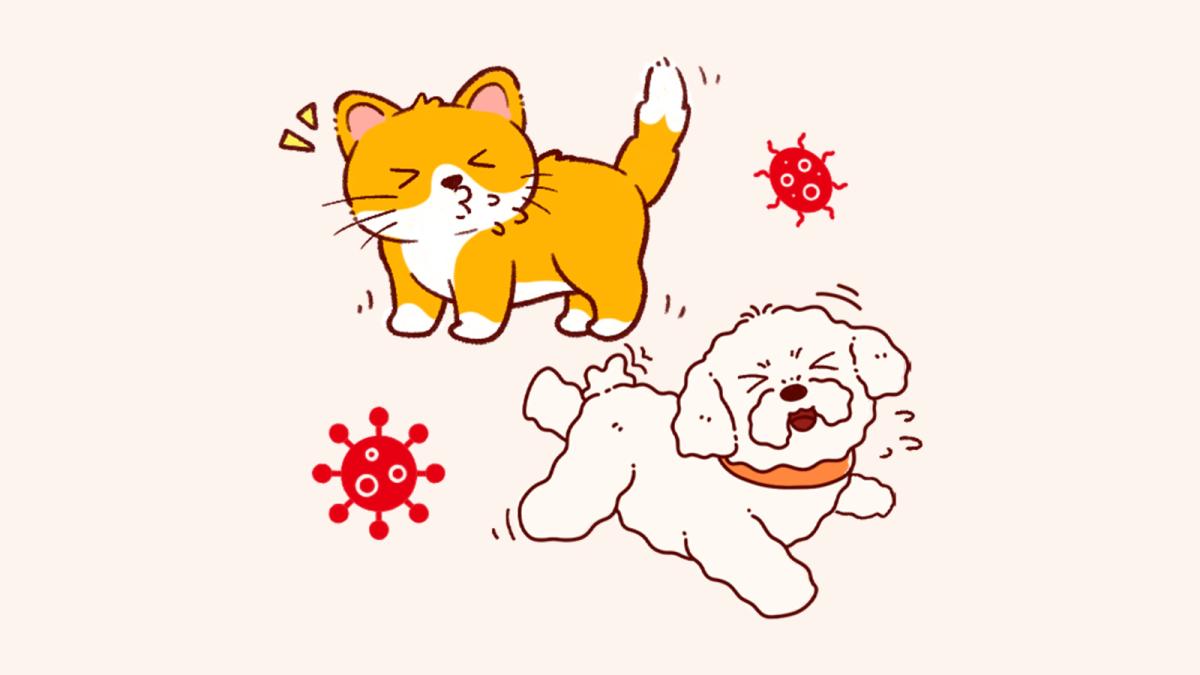 2