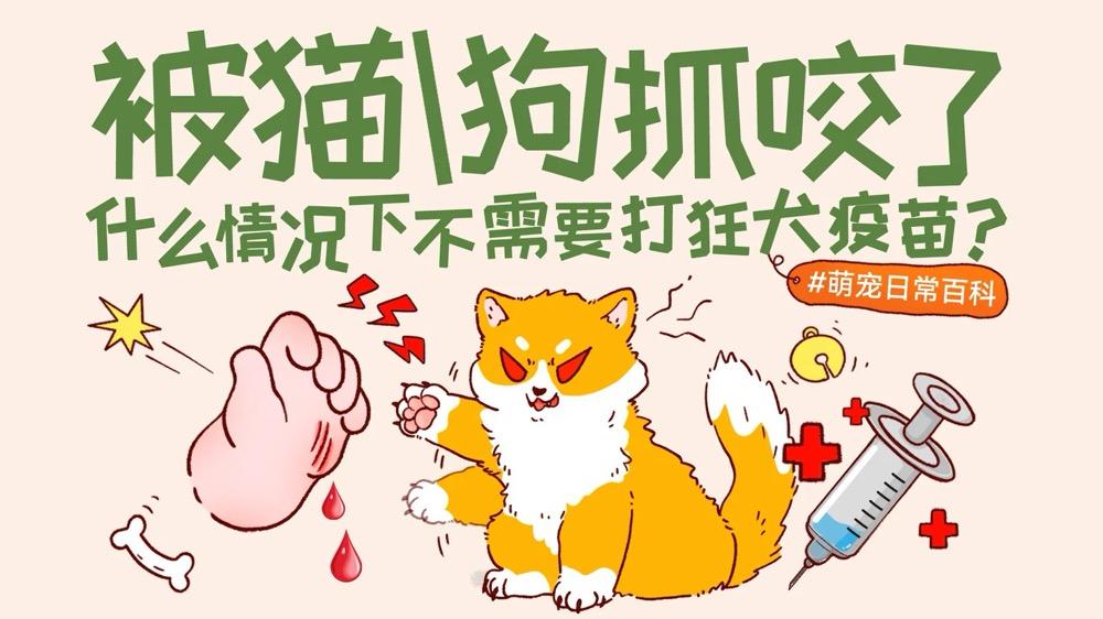 被猫狗抓伤要打狂犬疫苗吗？I/II/III级暴露与5针、2-1-1程序详解