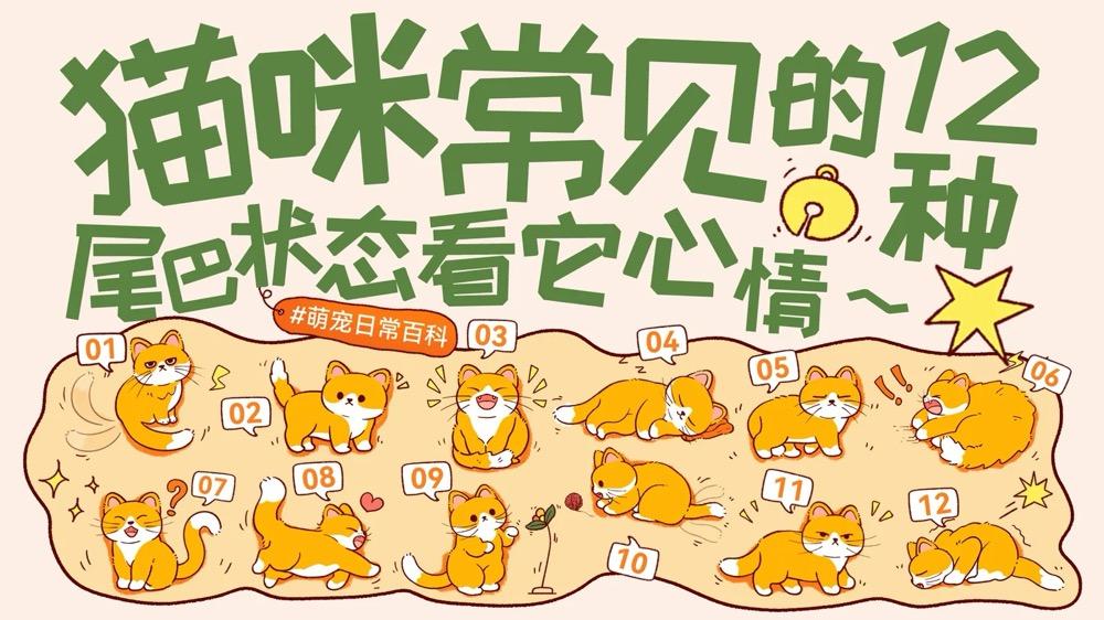 猫咪 12 种尾巴状态全解析！1 分钟读懂主子心情（养猫人必看）