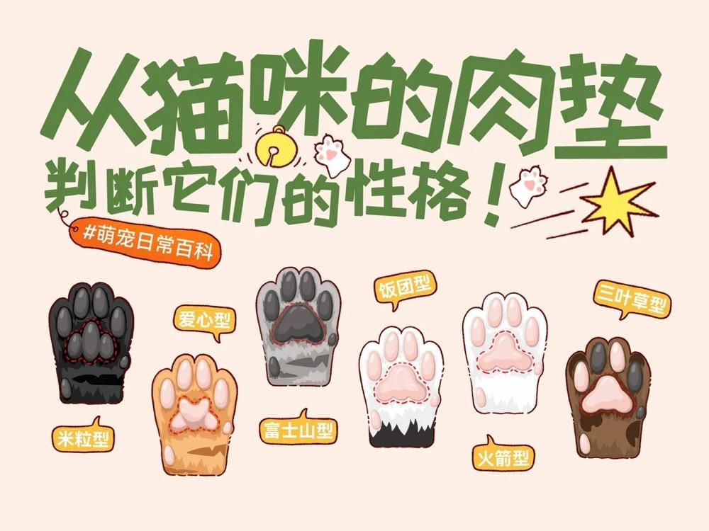 6 种猫咪肉垫看性格，你家喵是哪种？附科学解读 + 养宠建议