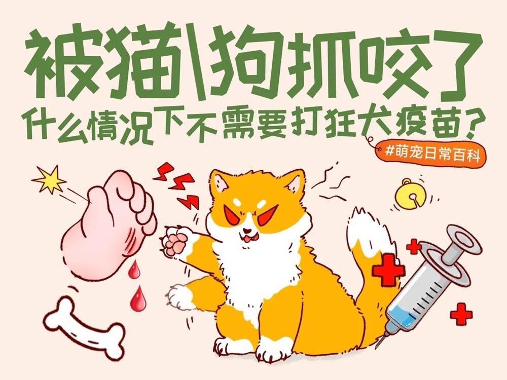 被猫狗抓伤要打狂犬疫苗吗？I/II/III级暴露与5针、2-1-1程序详解