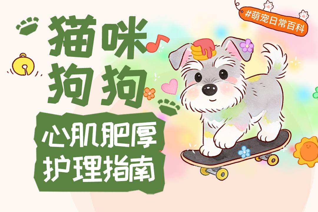 猫咪狗狗心肌肥厚护理指南 码这一篇就足够