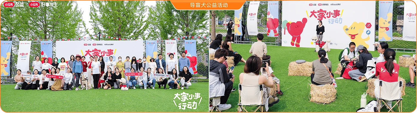 导盲犬公益活动现场
