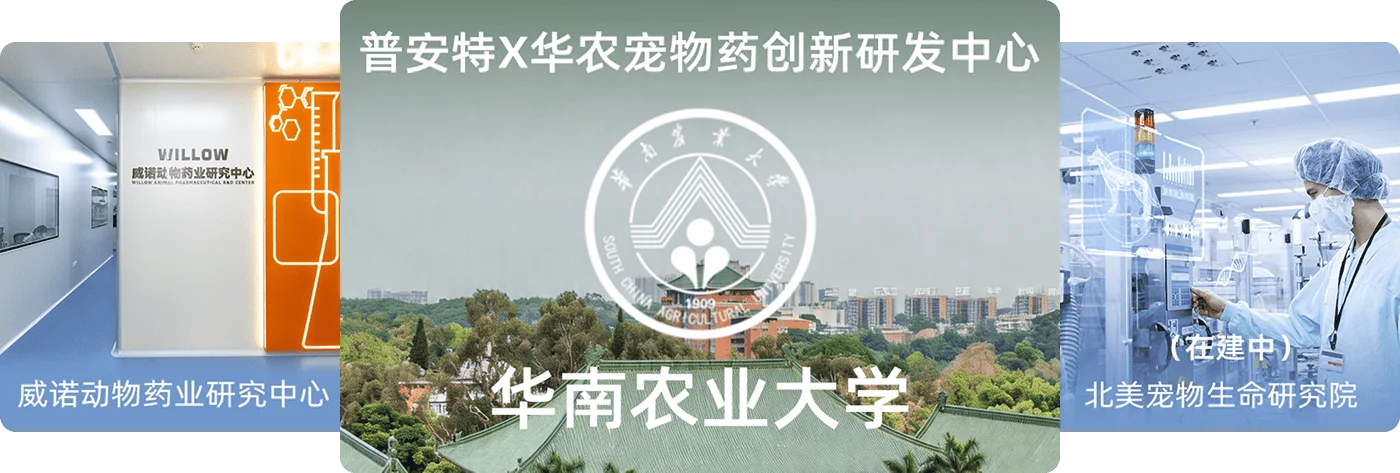 普安特科研团队与联合研发机构