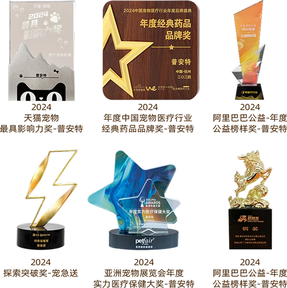 2024年品牌荣誉奖项