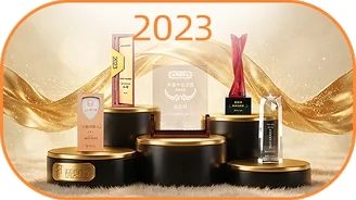 2023年品牌荣誉