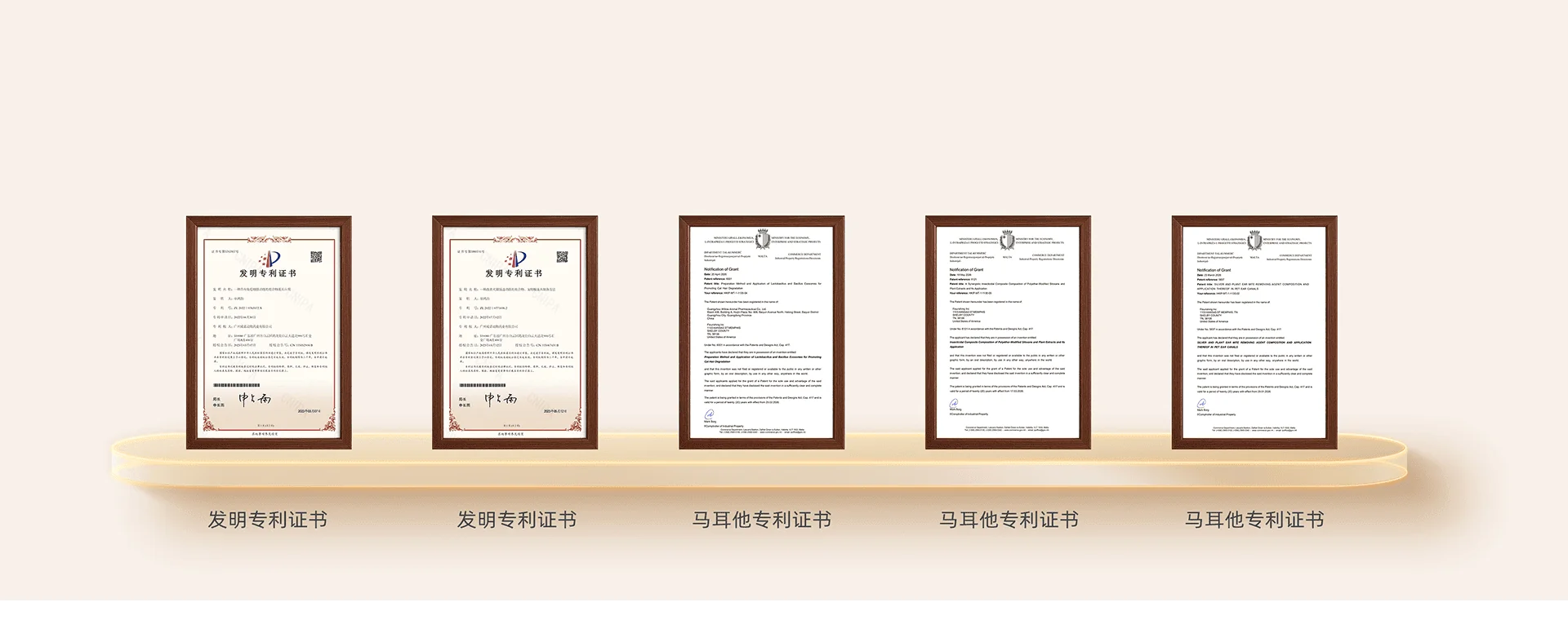 普安特专利证书展示