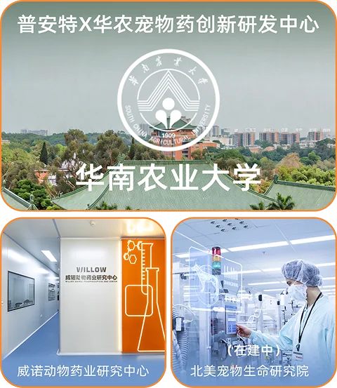 普安特科研实力